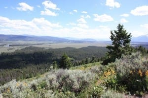 Grand Teton Signal Mountain Overlook