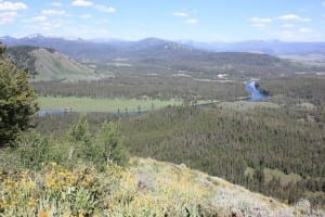 Grant Teton Signal Mountain Snake River