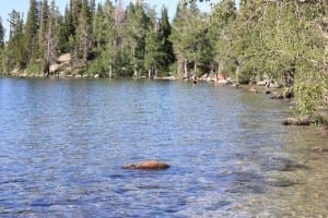 Grant Teton Jenny Lake Swimming