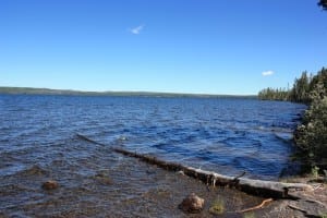 Yellowstone National Park Lewis Lake