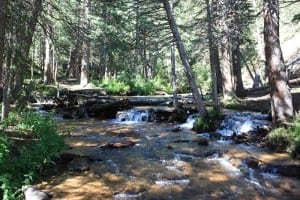 Guanella Pass