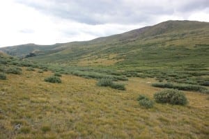 Guanella Pass Summit