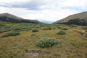 Guanella Pass Summit