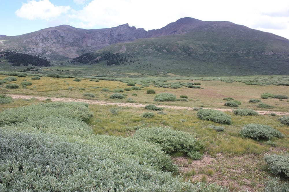 Guanella Pass