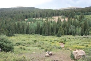 Guanella Pass Dispersed Camping