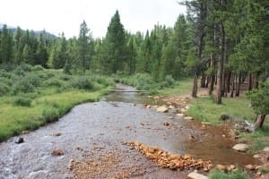 Guanella Pass