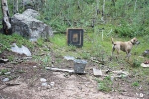 Vicksburg CO Target