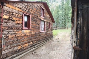 Vicksburg Ghost Town Cabin