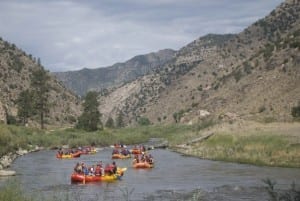 Arkansas River Rafting Bighorn Sheep Canyon