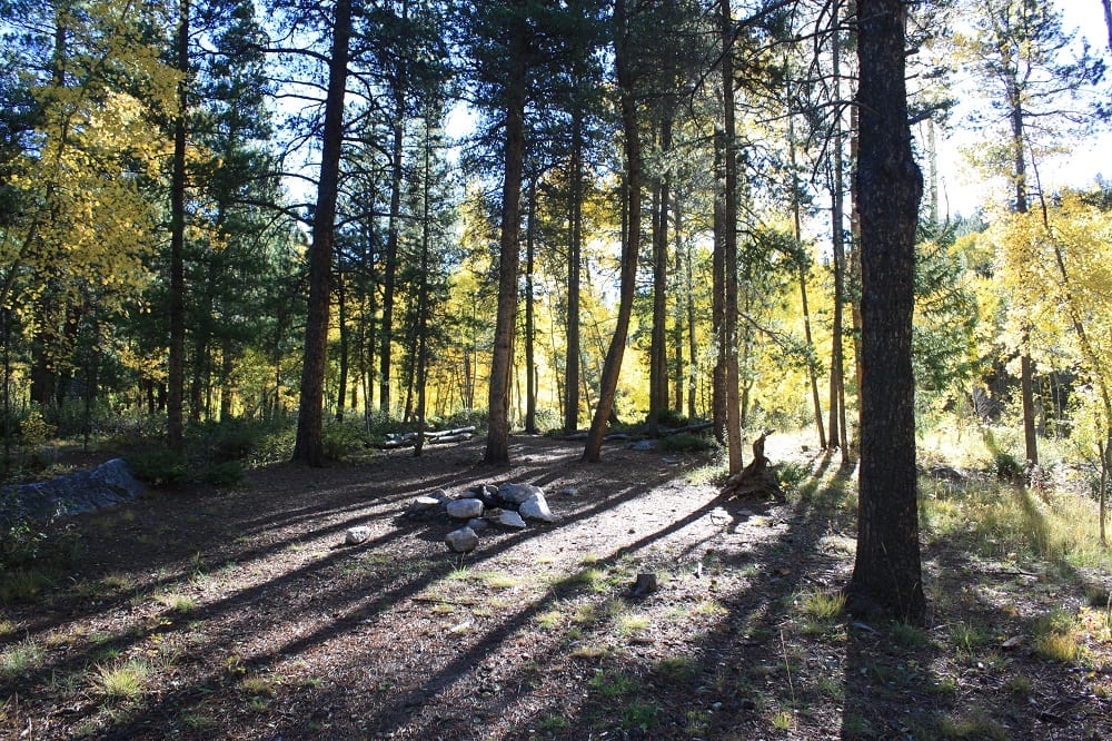Cottonwood Pass Dispersed Campsite