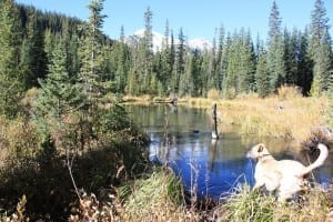 Cottonwood Pass