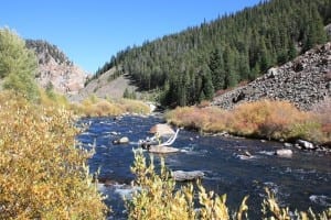 Taylor River Fishing