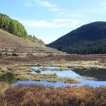 Kebler Pass Marsh