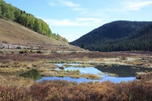 Kebler Pass Marsh