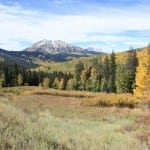 Kebler Pass Autumn