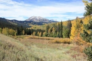 Kebler Pass Autumn