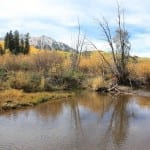 Kebler Pass Creek