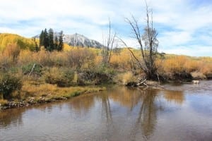 Kebler Pass Creek