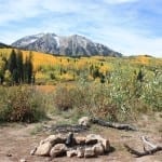 Kebler Pass Dispersed Campsite