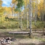 Kebler Pass Camping
