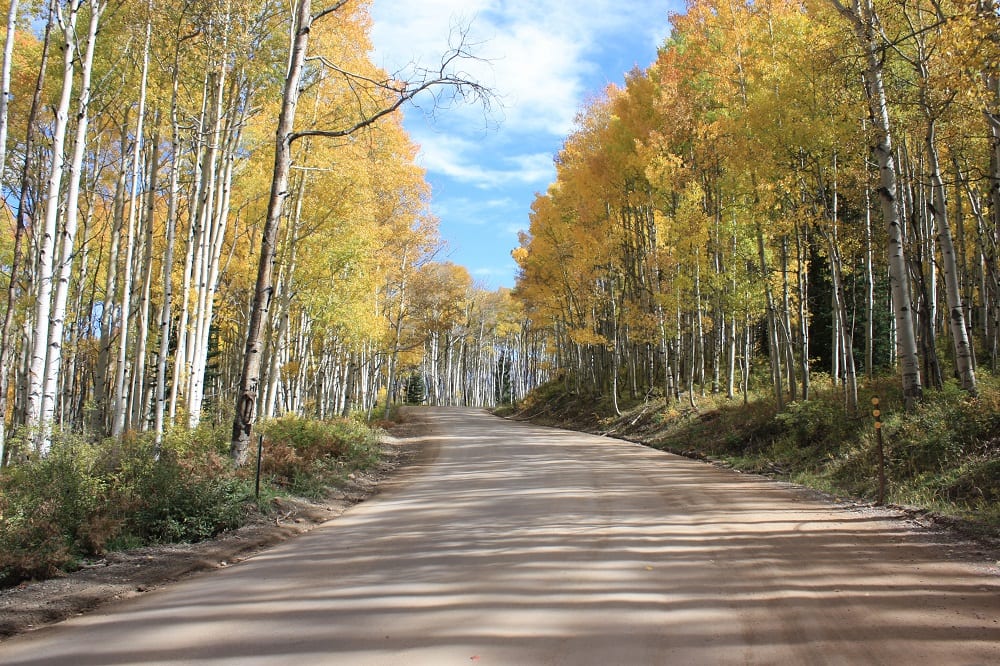 Kebler Pass Fall Colors
