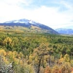 Kebler Pass Fall