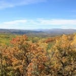 Kebler Pass Autumn