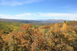 Kebler Pass Autumn