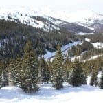 Loveland Pass Backcountry Tree Skiing