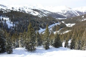 Loveland Pass Backcountry Tree Skiing