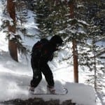 Loveland Pass Backcountry Skiing Fallen Tree