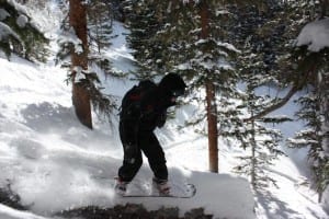 Loveland Pass Backcountry Skiing Fallen Tree