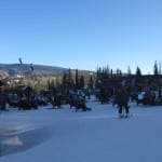 Purgatory Plunge Zipline Durango