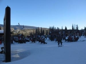 Purgatory Plunge Zipline Durango