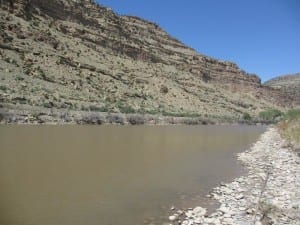 Colorado River State Park Island Acres