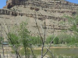 Colorado River State Park