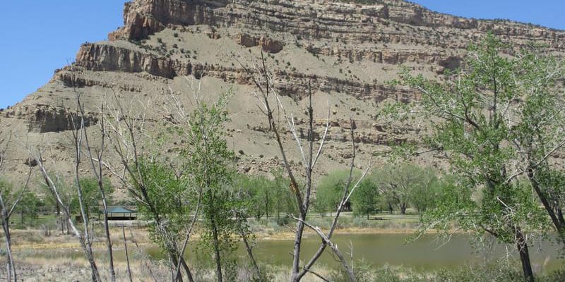 Colorado River State Park