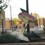 Grand Junction CO Downtown Apple Core