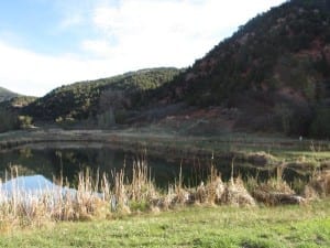 Rifle Falls State Park Fishing Ponds