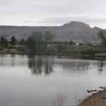 Colorado River State Park Corn Lake Ducks