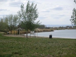 Colorado River State Park Fruita Swim Beach