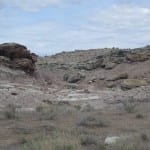 ​McInnis Canyons Fruita