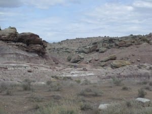 ​McInnis Canyons Fruita