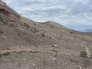 ​McInnis Canyons Fruita Trail