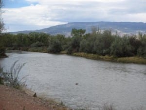 Delta CO Gunnison River