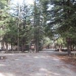 Paonia State Park Spruce Campground