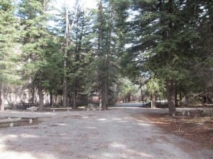 Paonia State Park Spruce Campground