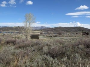 Vega State Park Aspen Grove Campground