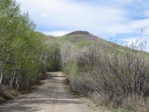 Vega State Park Dirt Road