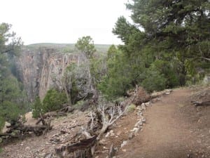 Black Canyon Gunnison Chasm View Trail